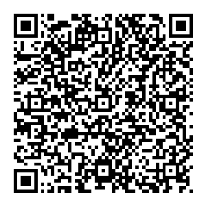 这可能是这群人有生之年中唯一一次看到有人用摄像机作为物理攻击的武器去砸人了……倒不是说这玩意儿的威力不行二维码生成