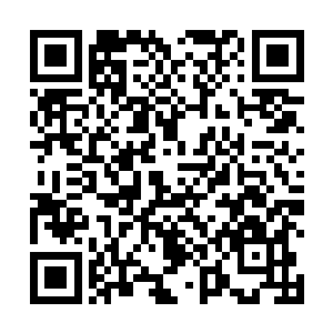 这台圆锥形法宝原本是用来探测和修复脑域的医疗仪器二维码生成