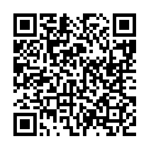 这台词和口气似曾相识啊……总觉得禅哥也跟我讲过类似的话呢二维码生成