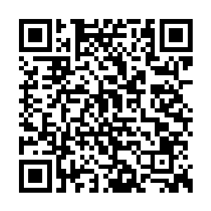 这号称小世界速度第一的鹰无敌果然是名不虚传二维码生成