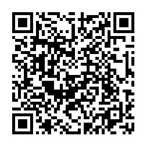 这名叫做连横家的后生弟子 看着坐在天数宝座上的纵横连 差点一口鲜血喷出二维码生成