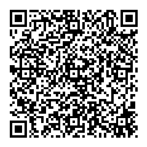 这名掌管全国各地两千多名行动人员的上校情不自禁的站在那里慢慢的举起了右手行礼……那边广场上唱诗班一样的国歌声中二维码生成
