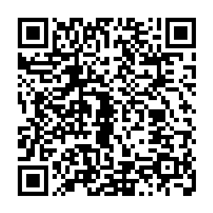 这和罗林最初在特罗尔世界旺多姆看到的那些贫民区小孩的动作眼神何其相似二维码生成