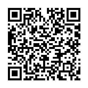 这商队里面绝对是没有任何值得这两位爷兴师动众的值钱东西二维码生成