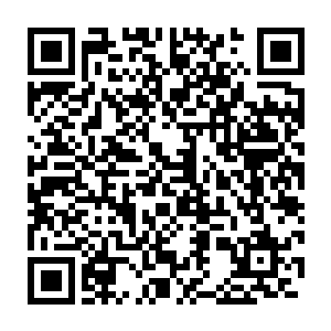 这四大白痴都会用这样的一副像是受了委屈的小媳妇的模样看着他二维码生成