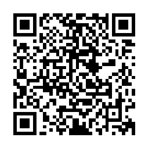 这回是终于明白了什么叫不怕神一样的对手就怕猪一样的队友了二维码生成