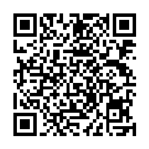 这地煞界因为内斗每时每刻死去的人类强者就不计其数吧二维码生成