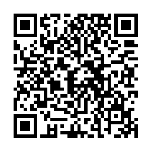 这场仇恨的根源还是那个鬼王和引起所有厉鬼暴动的连桂枝二维码生成