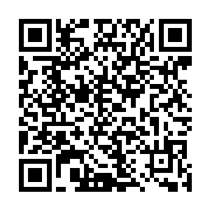 这块翡翠在叶然注入力量的一瞬间就是产生了巨大的爆炸二维码生成