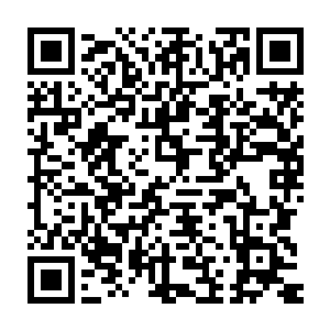 这堪比一个中型城市的岛屿上在建的建筑几乎全部是为了厂房而设计二维码生成