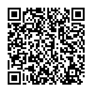 这多半是因为在下当初在海域中误食了一枚龟族王者的内丹导致的二维码生成