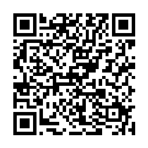 这多半是按照荆棘花团的传统进行的一种任务分配二维码生成