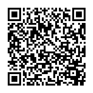 这大概是世界上第一科如此成功如此完美提取的班加克毒刺鱼的毒液吧二维码生成