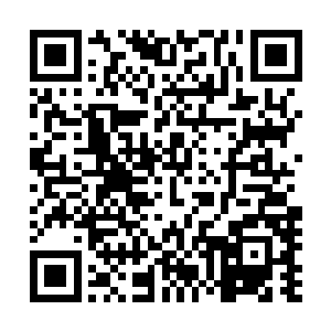 这大衍神石在他们家族在几千年前从一个上古遗迹中获得的二维码生成