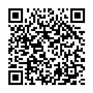 这头妖兽和他们在妖兽空间里对付的那头妖兽几乎是一模一样的二维码生成