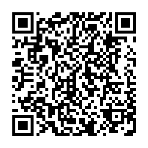 这套规范性的规章制度一旦经过市人大常委会审议通过将会具有法律效力二维码生成