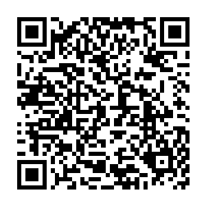 这孩子竟然在路过荷塘的时候在宦官的帮助下从荷塘里采了一个莲蓬二维码生成