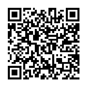 这守关傀儡发动起的攻击仍旧是小圆满三重天中期层次二维码生成