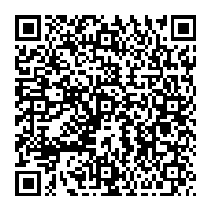 这家伙……还敢再贱一点么……造物主是为了让他嘲讽全宇宙所有智慧生命才把他造出来的吗……二维码生成