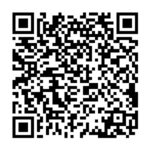 这家伙就站在宫门口手里提着两挂咸鱼正在笑嘻嘻的向下朝的官员们推销二维码生成