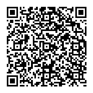 这家伙已经迫不及待的想看到自己的主意真的实施会不会真的让一帮外国鬼子都迷上华夏的网络文学了二维码生成