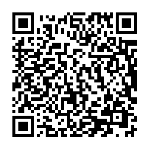 这家伙正捧着自己的真理之球和其他半身人热烈地讨论该如何用火焰实现飞行二维码生成