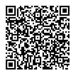 这家伙绝对不敢联合那万振风以及另外的那名万珍商会的化神中期修士返回来跟他对战二维码生成