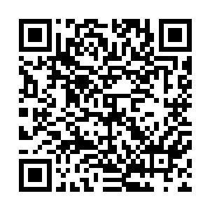 这寨门实在开不得…………要是将主能将这些腌臜货驱散了二维码生成