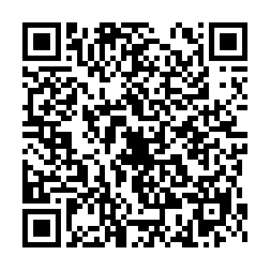 这对于一个长期养成了纨绔的习惯的他来说绝对是一种十分痛苦的折磨二维码生成