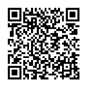 这对同城死敌将在社区盾杯中重新续写他们之间的恩怨情仇二维码生成