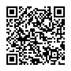 这就代表夏天他们这个分支在夏家的所有分支里面排行第四十九二维码生成