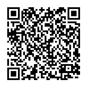 这就变向的相当于是在和所有人说他必须使用全部实力才能和夏天抗衡了二维码生成