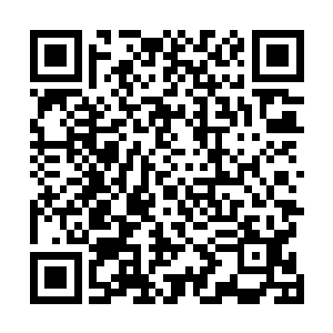 这就是你们佛门至高无上的神功绝学――金刚不坏神功吗二维码生成