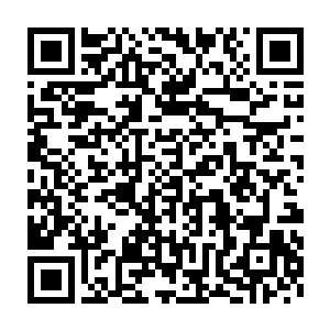 这就是你们宁愿这样没希望的跑去荒原自生自灭也不愿意投降的原因二维码生成