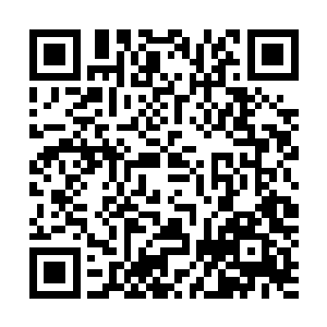 这就是再问化骨和吞血之后对无尽之城是什么想法和规划了二维码生成