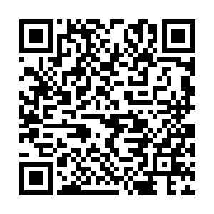 这就是我和你提到过的制符殿的殿主金霆海金殿主二维码生成