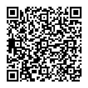 这就是拜仁慕尼黑的力量球迷们在最关键的时刻给了球队无私的支持有了球迷们的支持二维码生成