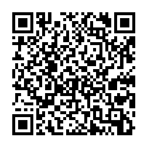 这就是最大的症结点――现在我只希望他们签署了足够严格的婚前协议二维码生成