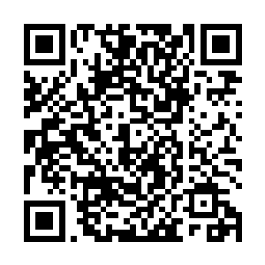 这就是百面魔皇在人族之中一切布置和谋划的最终指向二维码生成