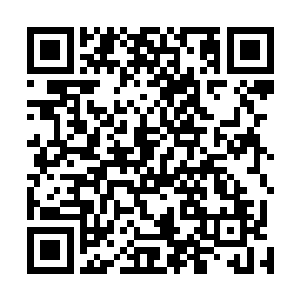 这就是绿鹰王这些年用无数的手段和战斗凝聚而成的威仪二维码生成