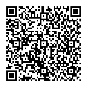 这就是魔修中最诡异也最难以修习的修复术――只有达到元婴境界以上的魔修才有可能习得的恢复法术二维码生成