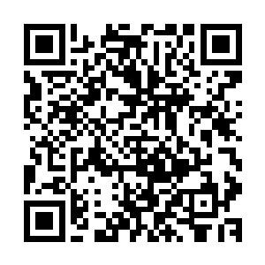 这尼玛不是和用一块金砖从地摊上买了一堆盗版书一个性质吗二维码生成