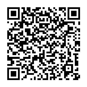 这岂不是说太虚宗和妖族能够随时越过禁地险境攻打他们雨族和巨人族二维码生成