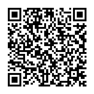这巨大的观念改变完全是因为苏凡惊人的杀伤力已经将他们深深震撼二维码生成