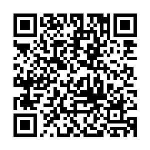 这巨猿体内的血珠至少也是自己得到的最强大的血珠的十倍以上二维码生成