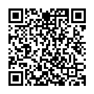 这已经成为了每一个人讨论的焦点――人人都在替雨果出谋划策二维码生成