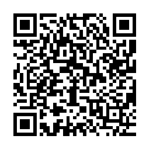 这师徒二人皆为世界赌王也比较成为澳门的一大美谈了……当然二维码生成