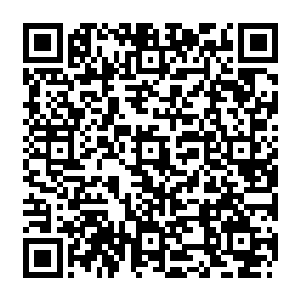 这应该是对方故意留下的线索――因为他肯定不是在图书馆里突然就得到了杀人灵感二维码生成