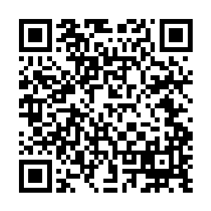 这开发区管委会主任位置还不是你上蹿下跳才蹦足达上来二维码生成