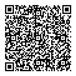 这开口的女子生得梨花带雨 一副楚楚可怜之样 但眼中总是不经意间流露出一丝蛮横之色 看來又是一个刁蛮之人二维码生成